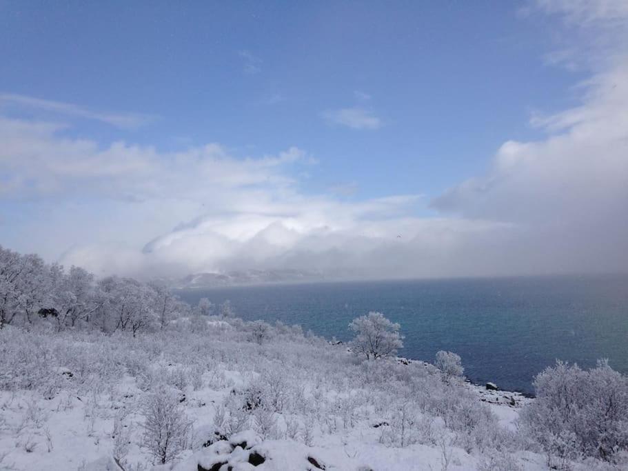 Fantastic View, Quiet And Relaxing By The Sea Villa Kvaloya Bagian luar foto